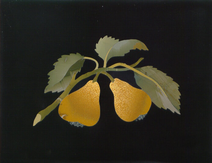 Pere su ramo - Pears on Branch