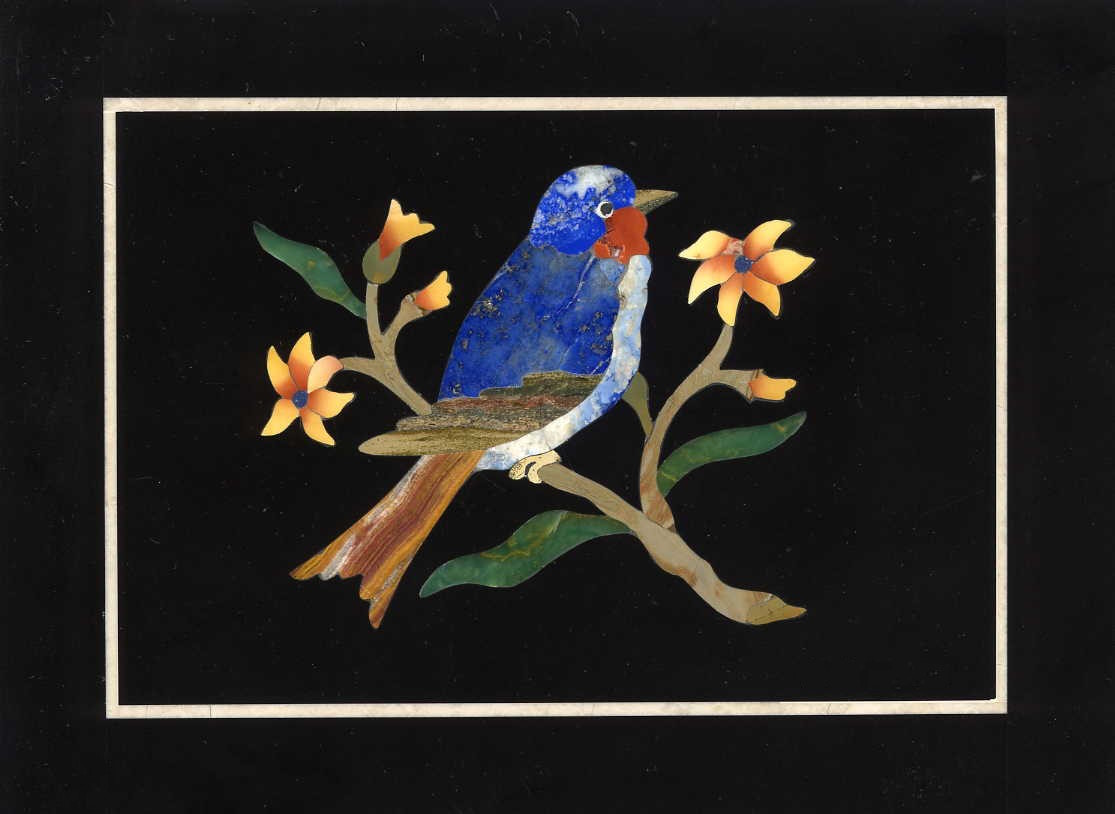 Cardellino su fiori di pesco - Goldfinch on Peach Blossoms