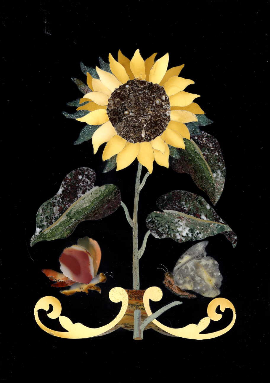 Girasole - Sunflower