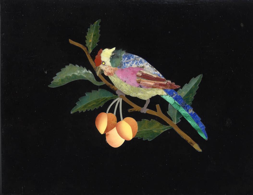 Pappagallino su ramo di susino - Small Parrot on Plum Branch