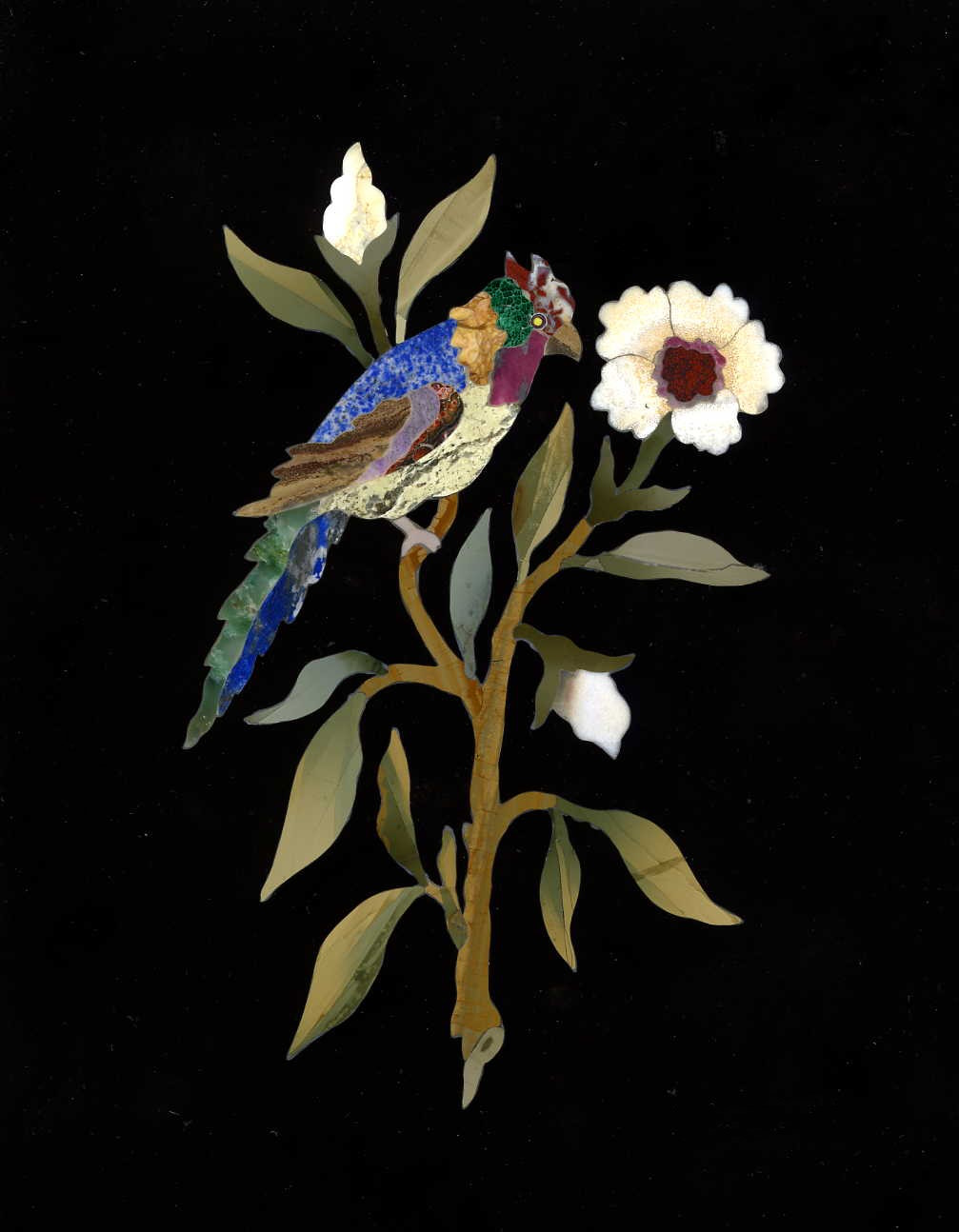 Pappagallo su fior di pesco - Parrot on Peach Blossoms