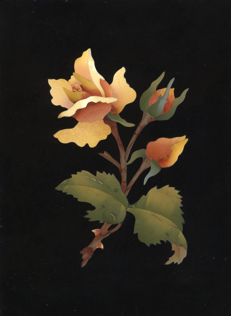 Rosa calcedonio con due bocci - Chalcedony Rose with Two Buds