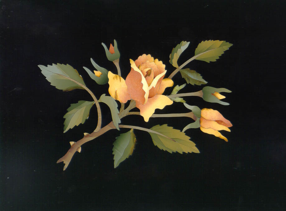 Rosa con 4 bocci - Rose with 4 Buds